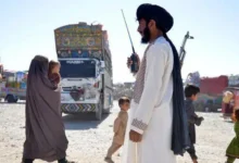 طالبان رجیم کی ناقص پالیسیوں سے افغان معیشت بحران کا شکار، ہزاروں ٹن زرعی اجناس خراب ہونے لگیں