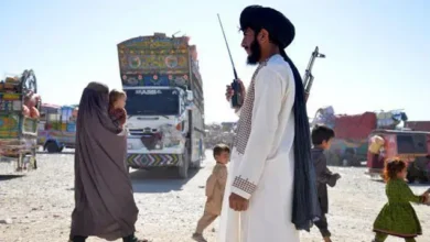 طالبان رجیم کی ناقص پالیسیوں سے افغان معیشت بحران کا شکار، ہزاروں ٹن زرعی اجناس خراب ہونے لگیں