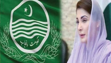پاکستان میں حکومت پنجاب نے 2027 کی پتنگ بازی کیلئے نئے قواعد و ضوابط کا اعلان کر دیا