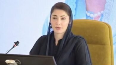 یومِ عاشور: وزیراعلیٰ پنجاب مریم نواز شریف کا حضرت امام حسینؓ، شہدائے کربلا اور اہلِ بیتؓ کو زبردست خراجِ عقیدت، واقعۂ کربلا کو حق، انصاف اور استقامت کا لازوال پیغام قرار دیا