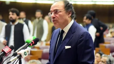 دفاعی ضروریات پوری کرنے کے لیے صوبوں کی مالی شراکت، وزیر خزانہ کا اہم اعلان