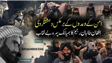 امن کے وعدوں کے برعکس دہشتگردی،افغان طالبان رجیم کا بھیانک چہرہ بے نقاب