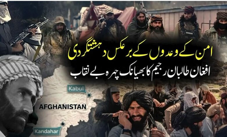 امن کے وعدوں کے برعکس دہشتگردی،افغان طالبان رجیم کا بھیانک چہرہ بے نقاب