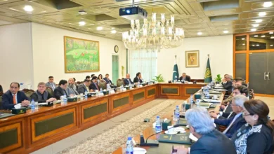 پاکستان میں الیکٹرک گاڑیوں کے فروغ کے لیے آٹو پالیسی کا جائزہ اجلاس