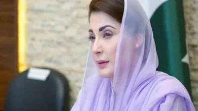 نواز شریف کینسر ہسپتال برین ٹیومر کے مریضوں کے لئے بھی امید بنے گا، وزیراعلیٰ پنجاب