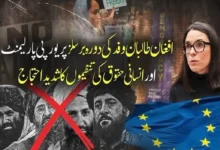 افغان طالبان وفد کےدورہ برسلزپر یورپی اراکینِ پارلیمنٹ اور انسانی حقوق کی تنظیموں کا شدید احتجاج