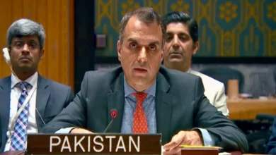 اقوامِ متحدہ میں پاکستان کا یوکرین تنازع میں کشیدگی کے بڑھتے خطرات پر انتباہ