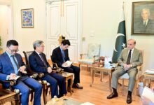 وزیراعظم شہباز شریف اور چینی سفیر کی اہم ملاقات، سی پیک 2.0، اقتصادی تعاون اور علاقائی صورتحال پر تفصیلی تبادلہ خیال