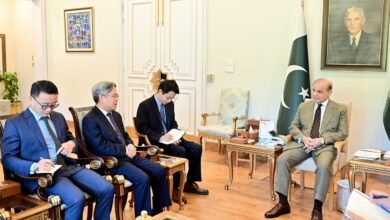وزیراعظم شہباز شریف اور چینی سفیر کی اہم ملاقات، سی پیک 2.0، اقتصادی تعاون اور علاقائی صورتحال پر تفصیلی تبادلہ خیال