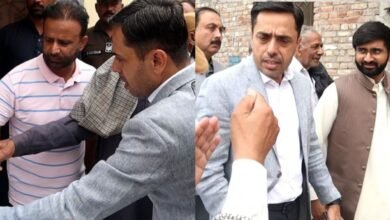 محفوظ عاشورہ کے لیے ہوم ورک مکمل ،لاہور ڈویلپمنٹ پروگرام، ستھرا پنجاب مہم جاری