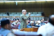 وزیراعظم شہباز شریف کی قوم، سیاسی و عسکری قیادت کو مبارکباد، پٹرولیم مصنوعات کی قیمتوں میں نمایاں کمی کا اعلان