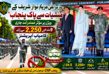 وزیراعلیٰ مریم نواز شریف کے "منشیات سے پاک پنجاب" ویژن پر مؤثر عملدرآمد جاری، 9 ماہ میں 2,250 سے زائد کامیاب آپریشنز