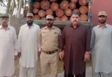 وزیراعلیٰ مریم نواز شریف کی ہدایت پر پنجاب فاریسٹ فورس کی ٹمبر مافیا کے خلاف بڑی کارروائی