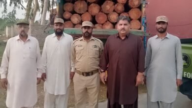 وزیراعلیٰ مریم نواز شریف کی ہدایت پر پنجاب فاریسٹ فورس کی ٹمبر مافیا کے خلاف بڑی کارروائی
