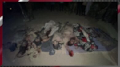 شمالی وزیرستان میں سیکیورٹی فورسز کی بڑی کامیابی، پلنگزئی میں فتنہ الخوارج کے مضبوط نیٹ ورک کو شدید دھچکا