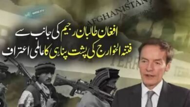 افغان طالبان رجیم کی جانب سے فتنہ الخوارج کی پشت پناہی کا عالمی اعتراف، برطانوی نمائندے کے انکشافات