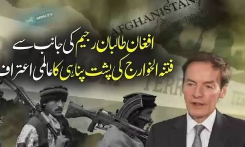 افغان طالبان رجیم کی جانب سے فتنہ الخوارج کی پشت پناہی کا عالمی اعتراف، برطانوی نمائندے کے انکشافات