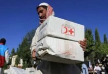 پاکستانی ادویات پر پابندی کے بعد افغانستان میں دواؤں کا بحران سنگین، قیمتوں میں 50 فیصد تک اضافہ،رپورٹ