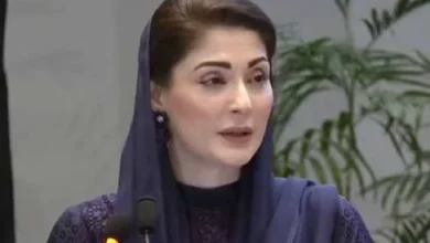 جیل اصلاحات قومی کانفرنس: قیدیوں کے بنیادی انسانی حقوق کے تحفظ، بحالی اور جدید اصلاحی نظام کے فروغ پر زور، مریم نواز کا جامع اصلاحاتی ایجنڈا پیش