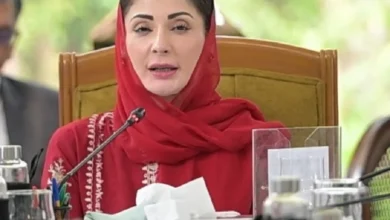 محراب و منبر سے اصلاح کا پیغام جانا چاہیے، علمائے کرام معاشرتی جرائم کے خاتمے میں کردار ادا کریں،وزیراعلیٰ پنجاب مریم نواز