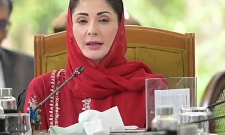 محراب و منبر سے اصلاح کا پیغام جانا چاہیے، علمائے کرام معاشرتی جرائم کے خاتمے میں کردار ادا کریں،وزیراعلیٰ پنجاب مریم نواز