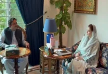 وزیراعلیٰ پنجاب مریم نواز شریف سے سپیکر پنجاب اسمبلی کی ملاقات،اہم امور پر تبادلہ خیال
