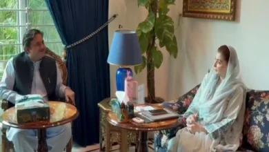 وزیراعلیٰ پنجاب مریم نواز شریف سے سپیکر پنجاب اسمبلی کی ملاقات،اہم امور پر تبادلہ خیال