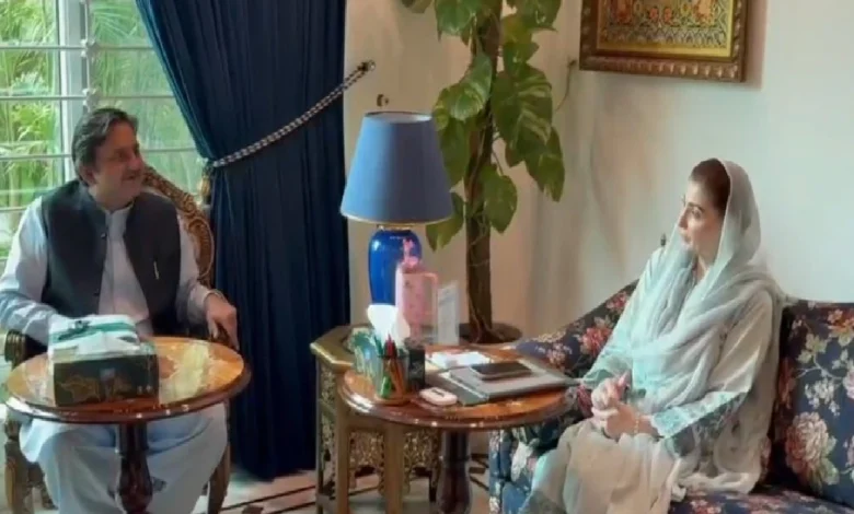وزیراعلیٰ پنجاب مریم نواز شریف سے سپیکر پنجاب اسمبلی کی ملاقات،اہم امور پر تبادلہ خیال