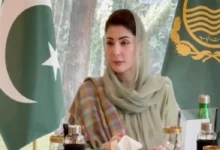 ملالہ یوسفزئی کی جدوجہد پوری دنیا کی بچیوں کے لیے امید کی کرن ہے، تعلیم کے فروغ کا سفر جاری رہے گا: وزیراعلیٰ پنجاب مریم نواز شریف