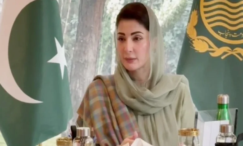 ملالہ یوسفزئی کی جدوجہد پوری دنیا کی بچیوں کے لیے امید کی کرن ہے، تعلیم کے فروغ کا سفر جاری رہے گا: وزیراعلیٰ پنجاب مریم نواز شریف