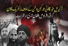 ترکیہ میں غیر قانونی تارکینِ وطن کے خلاف کریک ڈاؤن جاری، گرفتار افراد میں افغان شہری سرفہرست