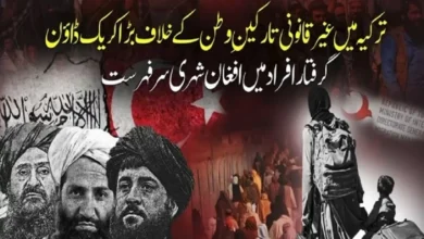 ترکیہ میں غیر قانونی تارکینِ وطن کے خلاف کریک ڈاؤن جاری، گرفتار افراد میں افغان شہری سرفہرست