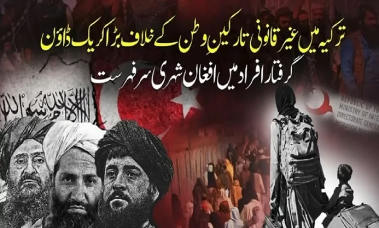 ترکیہ میں غیر قانونی تارکینِ وطن کے خلاف کریک ڈاؤن جاری، گرفتار افراد میں افغان شہری سرفہرست