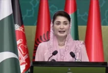 او آئی سی کے پلیٹ فارم سے خواتین کے لیے مشترکہ جدوجہد ناگزیر، بااختیار خواتین ہی مضبوط قوم کی بنیاد ہیں: وزیراعلیٰ پنجاب مریم نواز شریف