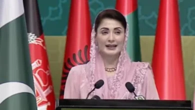 او آئی سی کے پلیٹ فارم سے خواتین کے لیے مشترکہ جدوجہد ناگزیر، بااختیار خواتین ہی مضبوط قوم کی بنیاد ہیں: وزیراعلیٰ پنجاب مریم نواز شریف