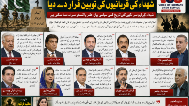 سیاسی قیادت نے مولانا فضل الرحمن کے بیان کو شہداء کی قربانیوں کی توہین قرار دے دیا، قومی اتحاد اور افواجِ پاکستان کے احترام پر زور