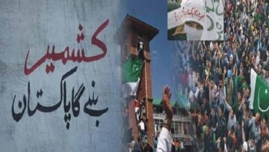 یومِ قراردادِ الحاقِ پاکستان: کشمیر سنٹر لاہور کے زیر اہتمام ریلی، کشمیری عوام کے حقِ خودارادیت اور پاکستان سے تاریخی وابستگی کا اعادہ
