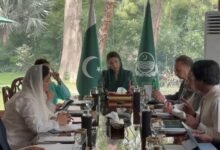 وزیراعلیٰ مریم نواز کا پنجاب میں ’’ایسٹ مینجمنٹ اتھارٹی‘‘ قائم کرنے کا فیصلہ، صوبائی اثاثوں کا مرکزی ریکارڈ اور مؤثر انتظام یقینی بنایا جائے گا