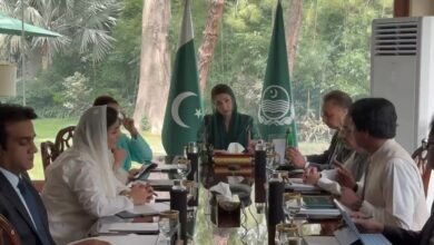 وزیراعلیٰ مریم نواز کا پنجاب میں ’’ایسٹ مینجمنٹ اتھارٹی‘‘ قائم کرنے کا فیصلہ، صوبائی اثاثوں کا مرکزی ریکارڈ اور مؤثر انتظام یقینی بنایا جائے گا