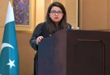 شزہ فاطمہ: امریکی 1.5 ٹریلین ڈالر مارکیٹ پاکستان کے لیے سنہری موقع ہے