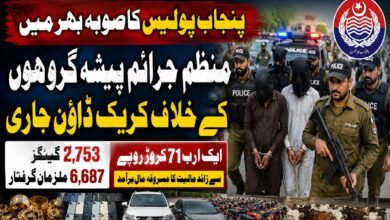 پنجاب پولیس کا صوبہ بھر میں منظم جرائم پیشہ گروہوں کے خلاف بڑا کریک ڈاؤن