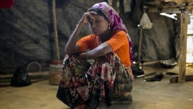 اقوام متحدہ کی نسلی امتیاز کے خاتمے کی کمیٹی کی بھارت پر سخت تنقید، دلتوں، قبائلی عوام اور اقلیتوں کے تحفظ کا مطالبہ