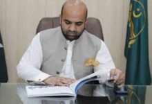 پاکستان پنجاب میں میٹرک کے نتائج کا بیک وقت اعلان، شفاف امتحانی نظام پر وزیر تعلیم کا اظہارِ اطمینان