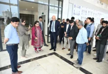 جدید آئی ٹی پارک وزیراعظم کا نوجوانوں کے لیے عظیم تحفہ ہے، شزہ فاطمہ