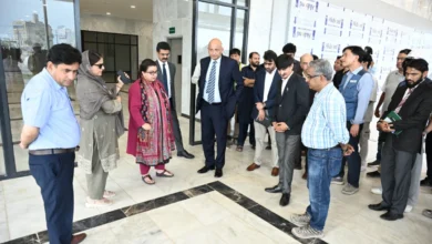 جدید آئی ٹی پارک وزیراعظم کا نوجوانوں کے لیے عظیم تحفہ ہے، شزہ فاطمہ