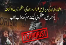 فتنہ الہندوستان کے جدید پروپیگنڈا نیٹ ورک کا انکشاف، افغان سرزمین سے مبینہ تربیت اور بیرونی معاونت پر سنگین سوالات