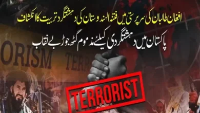 فتنہ الہندوستان کے جدید پروپیگنڈا نیٹ ورک کا انکشاف، افغان سرزمین سے مبینہ تربیت اور بیرونی معاونت پر سنگین سوالات