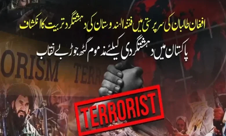 فتنہ الہندوستان کے جدید پروپیگنڈا نیٹ ورک کا انکشاف، افغان سرزمین سے مبینہ تربیت اور بیرونی معاونت پر سنگین سوالات