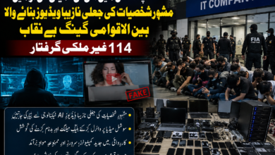 پاکستان میں آئی ٹی کمپنی کی آڑ میں مشہور شخصیات کی جعلی نازیبا ویڈیوز بنانے والا بین الاقوامی گینگ بے نقاب