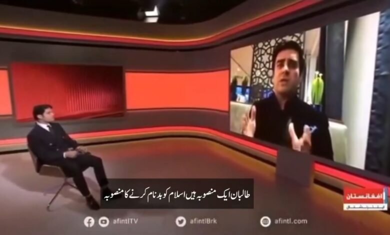 سابق افغان رکنِ پارلیمنٹ بکتاش سیاوش کی طالبان حکومت پر شدید تنقید، رجیم کے مستقبل پر سوالات اٹھا دیے